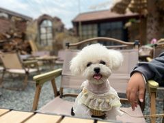 -陶野咖啡·面包披萨