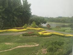 -北京鸿华高尔夫练习场