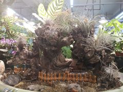 -双季花艺园艺市场(浦东店)