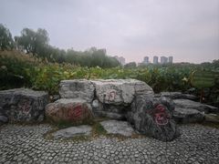 -太阳宫公园