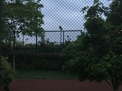 -杭州城北体育公园