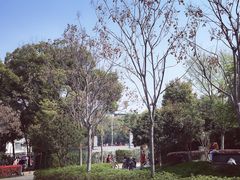 -武汉大学-樱园