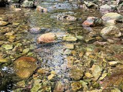 -南海湾森林生态园