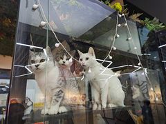 -弓舍射箭俱乐部(高新总店)