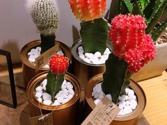 -当年暗房俱乐部(上海店)