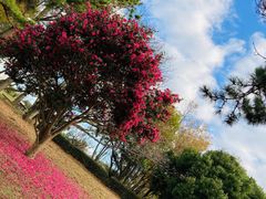 -天童教育素质成长中心(大连开发区校区)