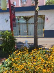 -爱儿美儿童摄影亲子馆(五路居店)