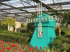 -南宫五洲植物乐园