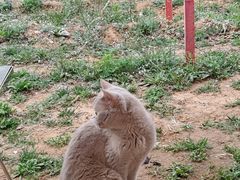 -四道口水产市场