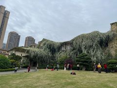 -府河摄影公园
