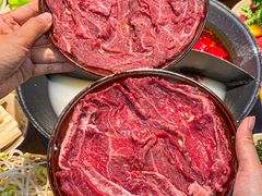 -阳阳老火锅(小南门店)