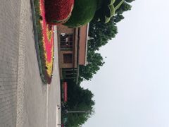 -大兴滨河森林公园