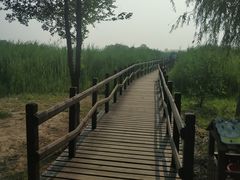 -西青郊野公园