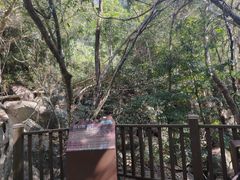 -七仙岭温泉国家森林公园