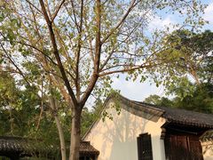 -深圳国际园林花卉博览园