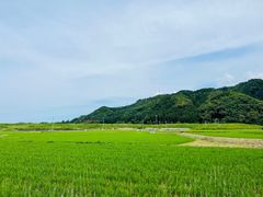 -岚山嵯峨野观光小火车