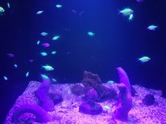 -常州海昌海洋探索馆