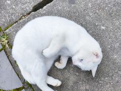 -敬亭山风景名胜区