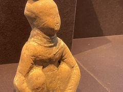 -安阳博物馆