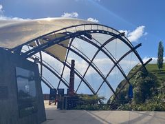 -怀托摩萤火虫洞