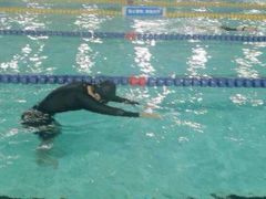 -金银湖市民文体活动中心恒温游泳馆