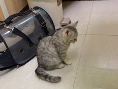 -瑞鹏宠物医院