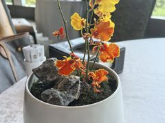 -夏宫中餐厅(静安香格里拉店)