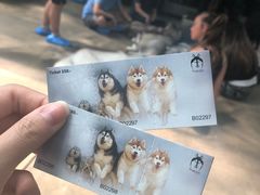 -TrueLove @ Neverland (Husky Cafe)