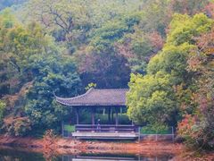 -杭州半山国家森林公园-龙山公园