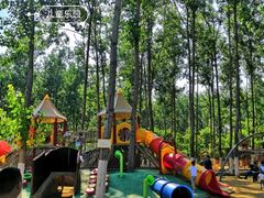 -合肥滨湖国家森林公园