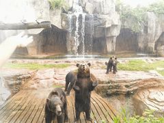 -海南热带野生动植物园
