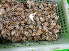 -都斛海鲜街