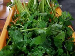 -章记正宗南岗鱼蛋火锅