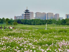 -洋湖国家湿地公园
