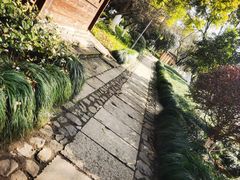 -八卦田遗址公园