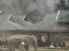 -野象谷景区