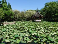 -上海醉白池公园