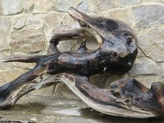 -叠溪松坪沟景区