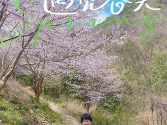 -四明山国家森林公园