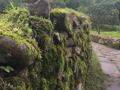 -唐崖土司城遗址