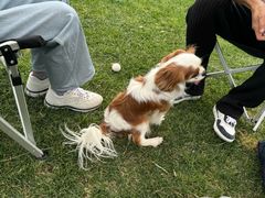 -华盛园卷子王农家菜水库鱼