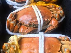 -黄记大闸蟹专卖店·活蟹·醉蟹