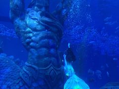 -哈尔滨波塞冬海底世界