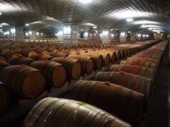 -紫轩葡萄酒庄园
