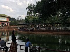 -侯臣咖啡文化村