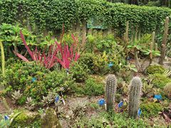 -中国科学院西双版纳热带植物园