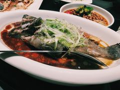 清蒸老虎斑-徐记海鲜(大明宫|北二环店)