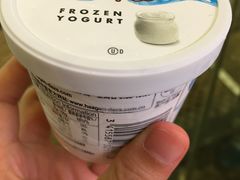 原味酸奶冰淇淋-哈根达斯(皇庭店)