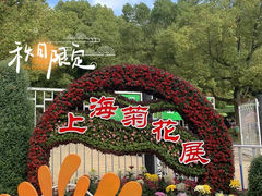 -上海共青森林公园