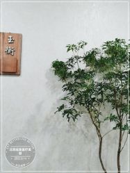 -北京炫美医疗美容